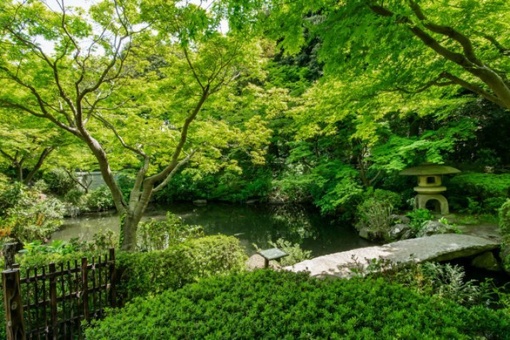 池田山公園