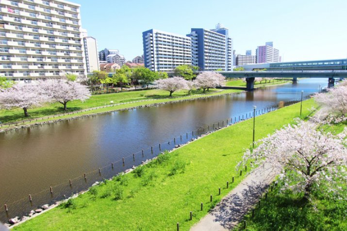 大島小松川公園